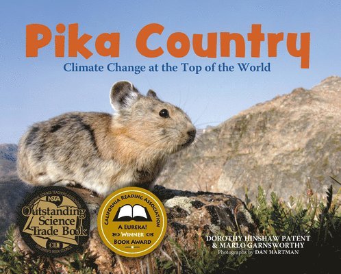 Pika Country 1
