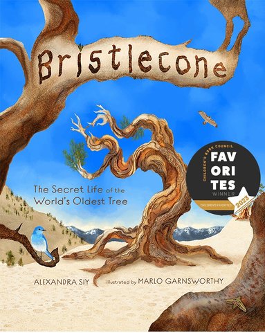 Alexandra Siy - Bristlecone, Inbunden