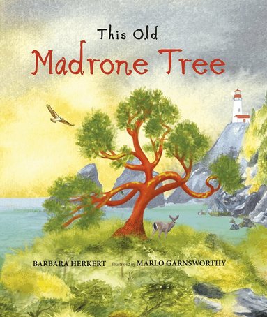Barbara Herkert - This Old Madrone Tree, Inbunden