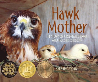 bokomslag Hawk Mother