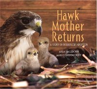 bokomslag Hawk Mother Returns