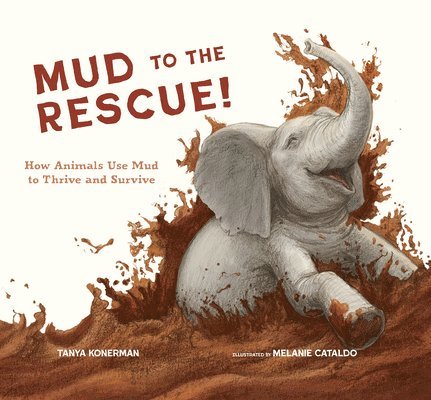 Mud to the Rescue! 1