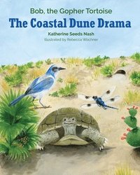 bokomslag The Coastal Dune Drama