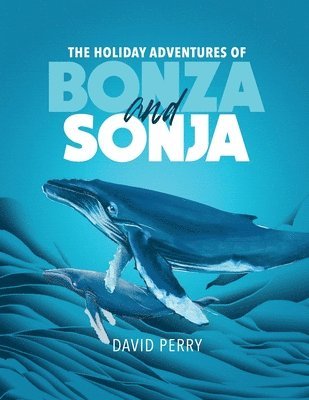 David Perry - Holiday Adventures of Bonza and Sonja, Häftad