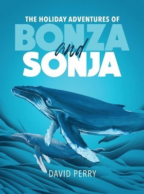 David Perry - Holiday Adventures of Bonza and Sonja, Inbunden