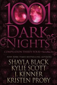bokomslag 1001 Dark Nights