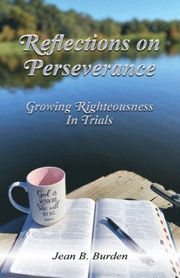 Reflections on Perseverance 1