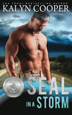 SEAL in a Storm 1