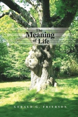 bokomslag Meaning of Life