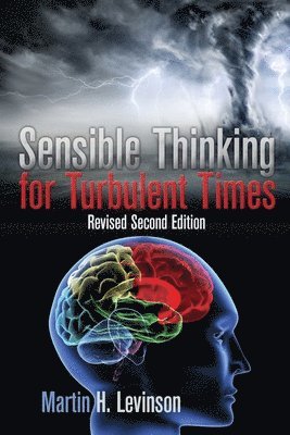 Martin H Levinson - Sensible Thinking for Turbulent Times, Häftad
