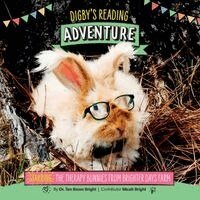 Ten Boom Bright - Digby's Reading Adventure, Häftad