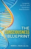 Bba Mba Ellis - Consciousness Blueprint, Häftad