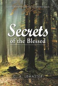 bokomslag Secrets of the Blessed