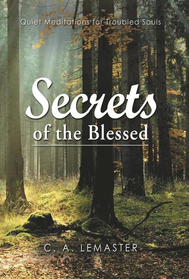 bokomslag Secrets of the Blessed