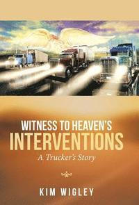 bokomslag Witness to Heaven's Interventions