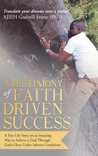 bokomslag Testimony of Faith Driven Success.