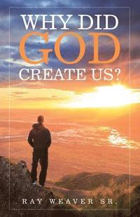bokomslag Why Did God Create Us?