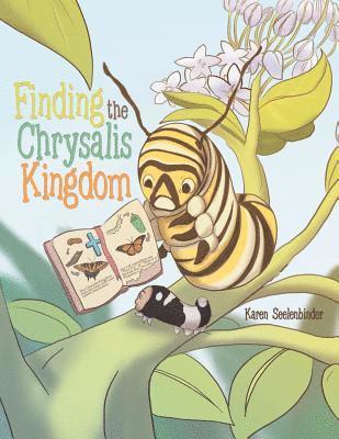 Finding the Chrysalis Kingdom 1