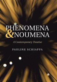 bokomslag Phenomena & Noumena