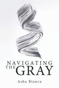 bokomslag Navigating the Gray