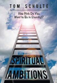 bokomslag Spiritual Ambitions