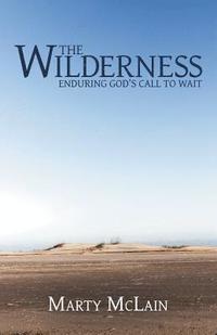 bokomslag The Wilderness