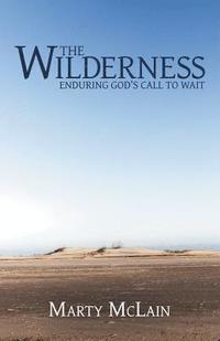 bokomslag Wilderness