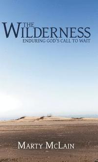 bokomslag Wilderness
