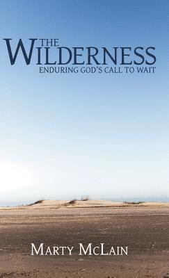 bokomslag Wilderness