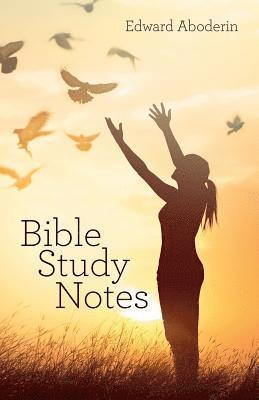 bokomslag Bible Study Notes