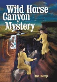 bokomslag Wild Horse Canyon Mystery