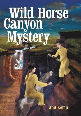 bokomslag Wild Horse Canyon Mystery