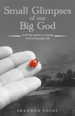 Small Glimpses of Our Big God 1