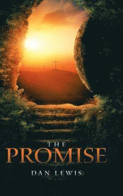 Dan Lewis - Promise, Inbunden