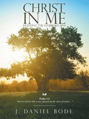 Christ in Me 1