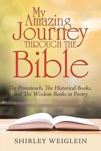 bokomslag My Amazing Journey Through the Bible