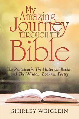 bokomslag My Amazing Journey Through the Bible