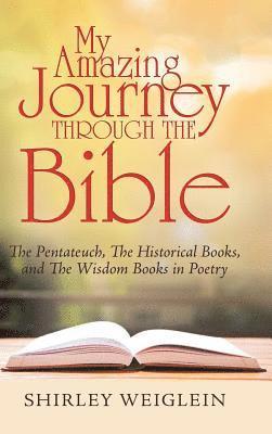 bokomslag My Amazing Journey Through the Bible