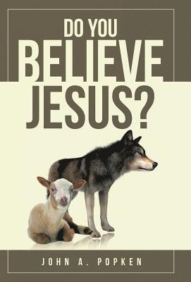 bokomslag Do You Believe Jesus?