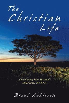 The Christian Life 1