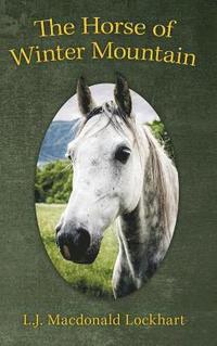 bokomslag Horse of Winter Mountain