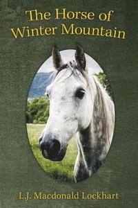 bokomslag Horse of Winter Mountain