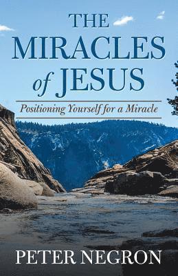 bokomslag The Miracles of Jesus