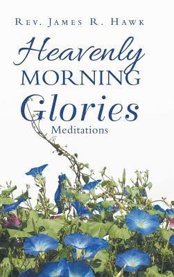 bokomslag Heavenly Morning Glories