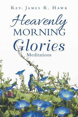 bokomslag Heavenly Morning Glories
