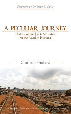 bokomslag Peculiar Journey