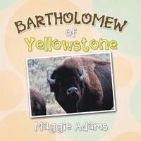 bokomslag Bartholomew of Yellowstone