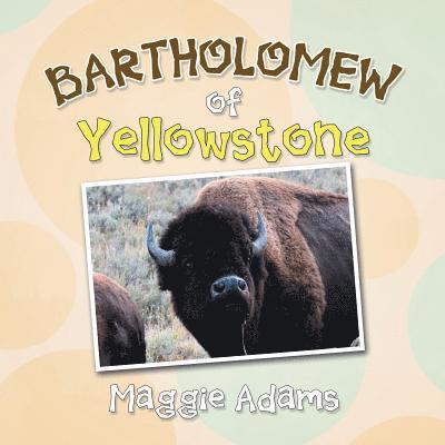 Bartholomew of Yellowstone 1