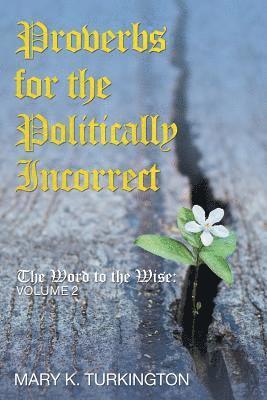 bokomslag Proverbs for the Politically Incorrect