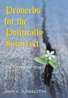 bokomslag Proverbs for the Politically Incorrect